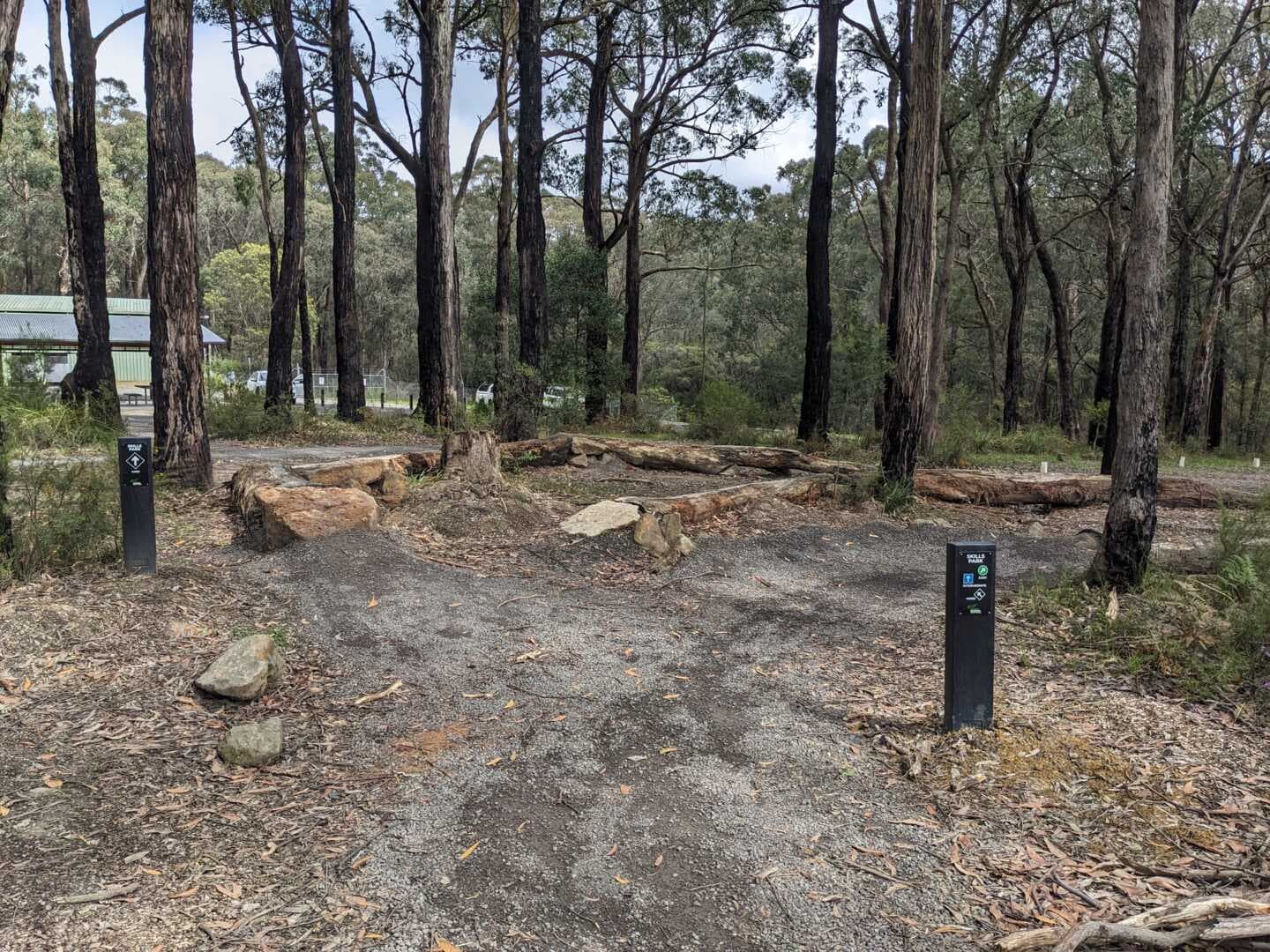 Photo of Forrest