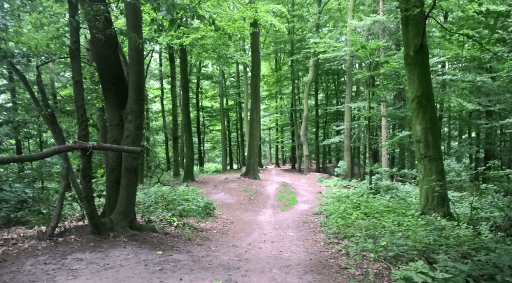 Photo of Streitberg Downhill