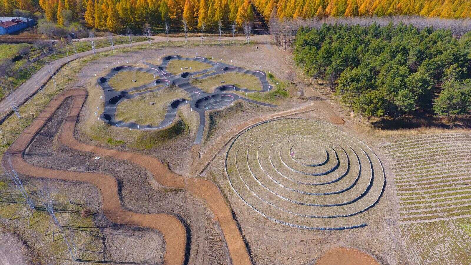 Photo of Baoqing