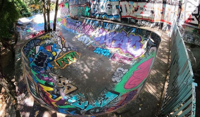 Photo of Flora Bowl