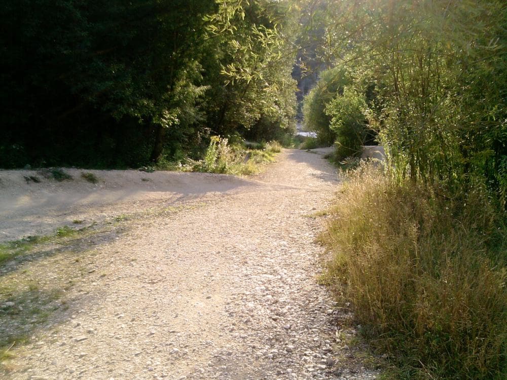 Photo of Blaustein
