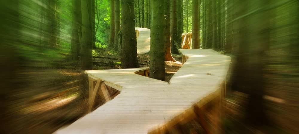 Photo of MSB-X-Trail Bikepark Sankt Andreasberg