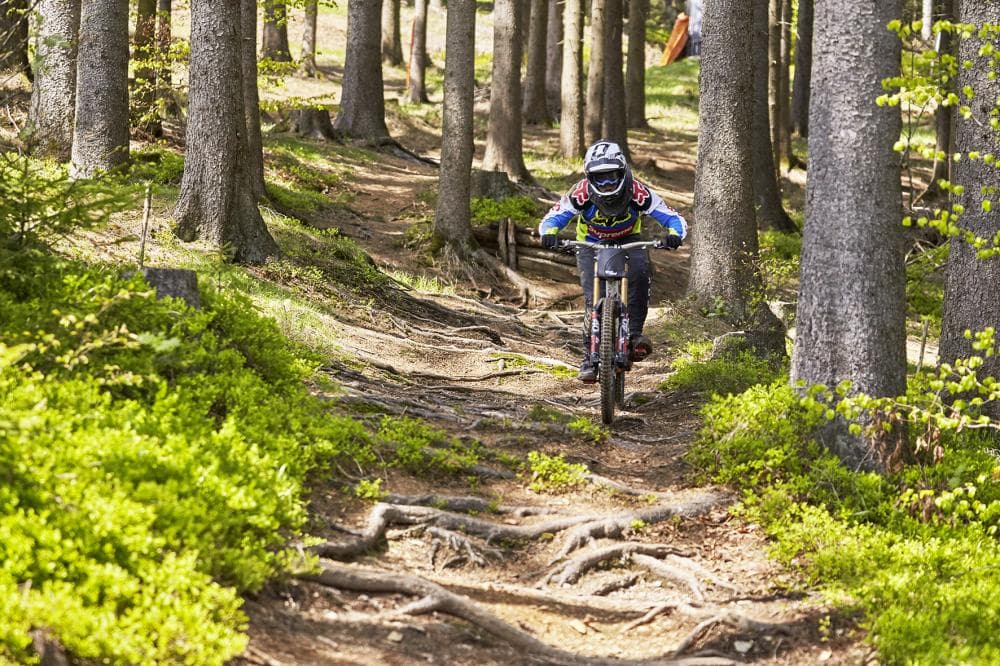 Photo of Bikearena Silbersattel Steinach