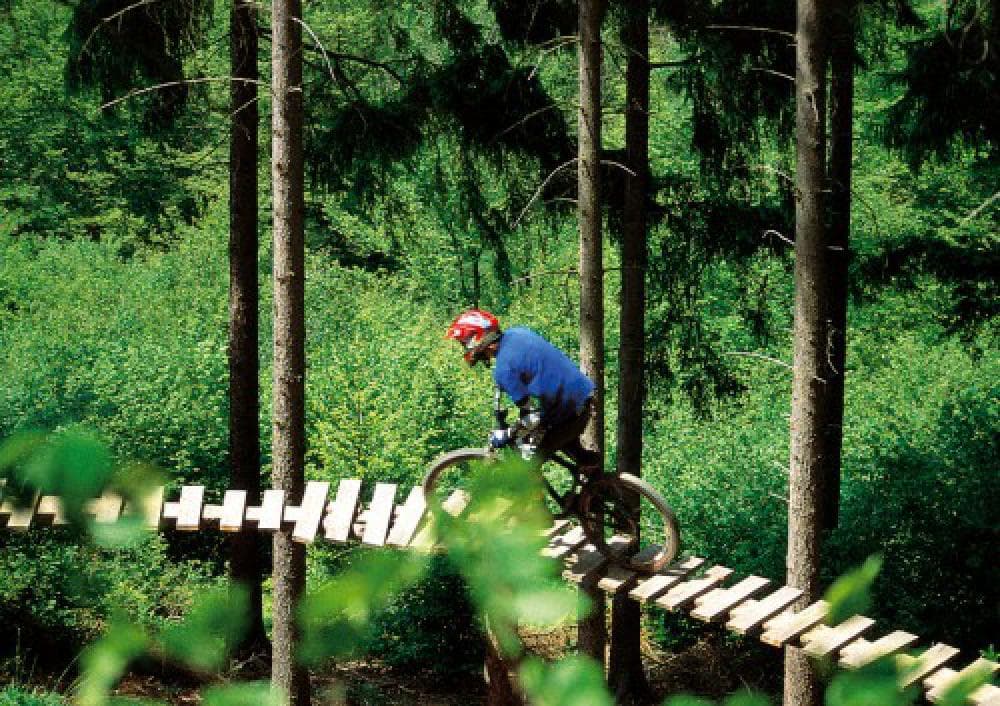 Photo of Bikepark Boppard