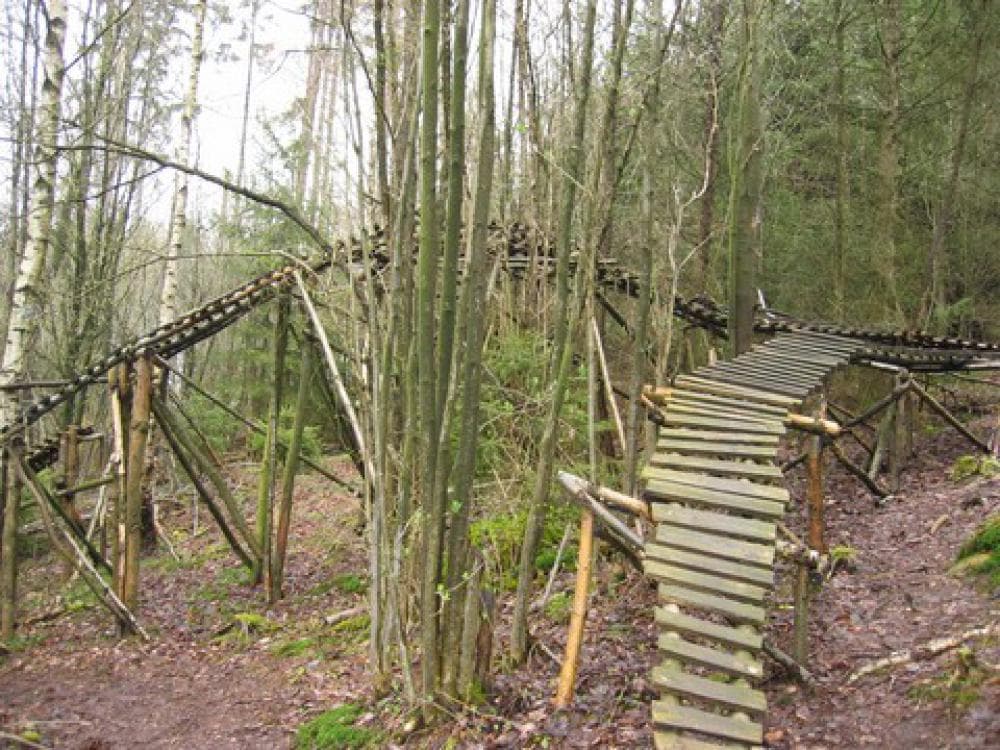 Photo of Solling Funpark