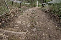 Photo of Bike Park Irigny