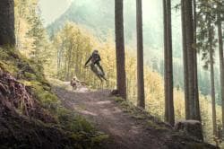 Photo of Bike Park Moléson sur Gruyères