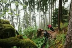 Photo of Bike Park Grütsch Trail Lauterbrunnen