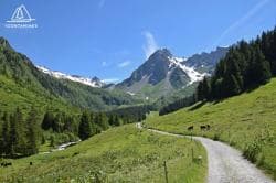 Photo of Bike Park Les contamines montjoie