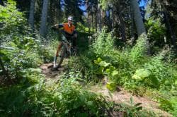 Photo of Enduro Albiez-Montrond