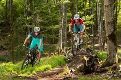 Photo of Enduro Bike Park de Longchaumois