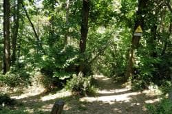 Photo of Enduro Chateauneuf sur isere