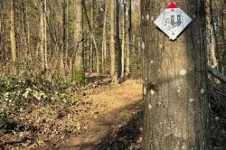 Photo of Enduro Vtt de la Scherhol - EVS