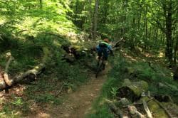 Photo of Enduro Espace VTT Enduro de la Forêt de Montaud