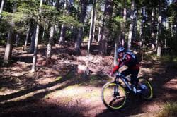 Photo of Enduro Markstein bikepark