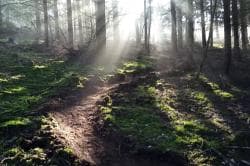 Photo of Enduro Roiffieux