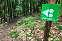 Photo of Enduro Les Monts de Blond Vaulry
