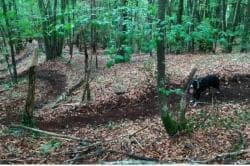 Photo of Enduro SISTER'S TRACK