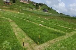 Photo of Skills Park CAMURAC