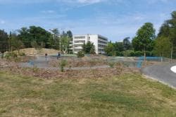 Photo of Pump Track Avon