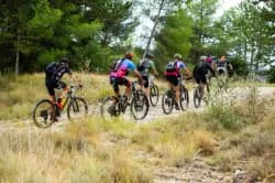 Photo of XC Rando VTTAE Domaine VTT Provence Alpes - l'Escale