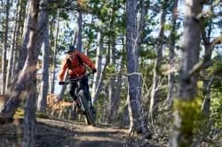 Photo of XC Rando VTTAE Domaine VTT Provence Alpes - Les Mées