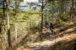 Photo of XC Rando VTTAE Domaine VTT Provence Alpes - Peyruis