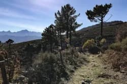 Photo of XC Rando VTTAE Olmi Cappella Balagne