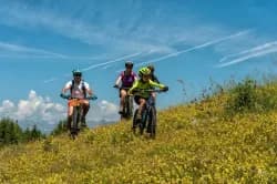 Photo of XC Rando VTTAE Domaine VTT Provence Alpes - Auzet