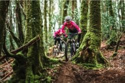 Photo of XCO Brouains
